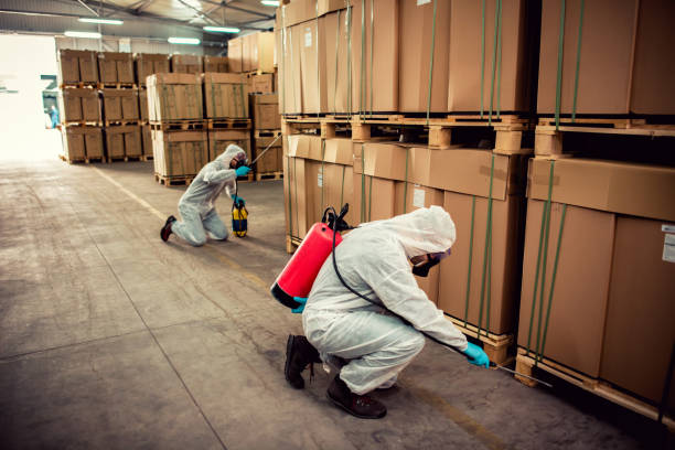 Best Local Pest Control Services  in New Roads, LA