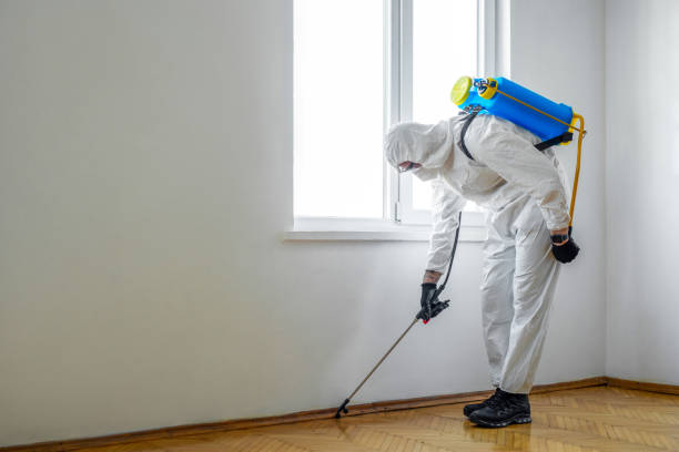 Best Pest Control Near Me in New Roads, LA
