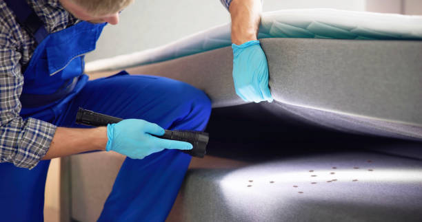 Best Best Pest Control Companies  in New Roads, LA