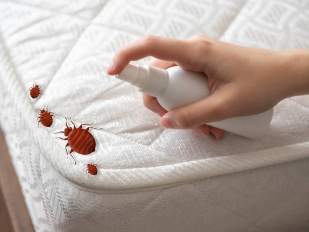 Best Mosquito Control Services  in New Roads, LA