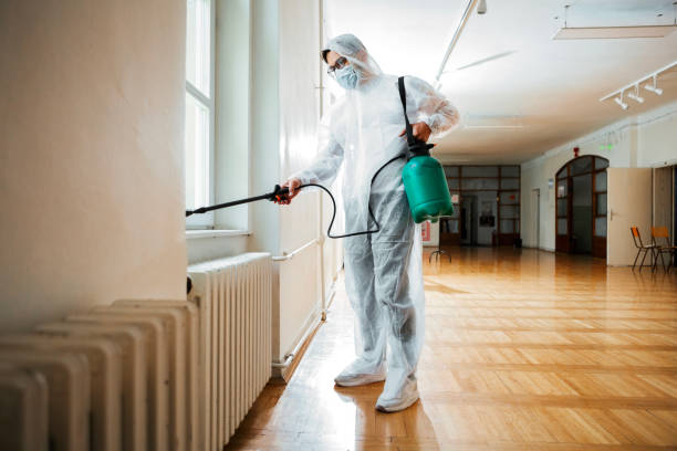 Best Flea Control Services  in New Roads, LA