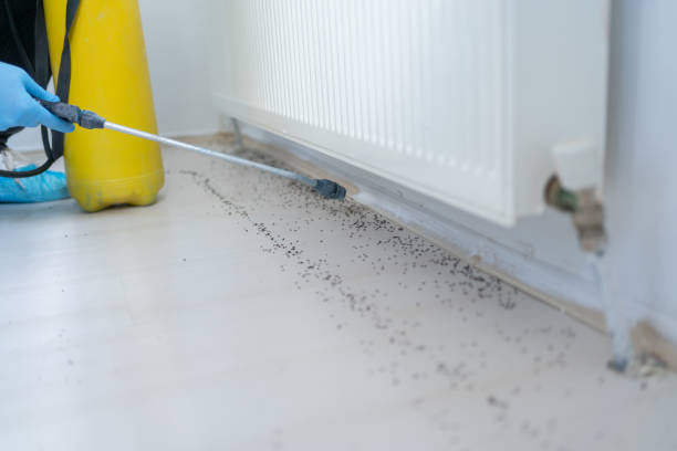 Best Pest Prevention Services  in New Roads, LA
