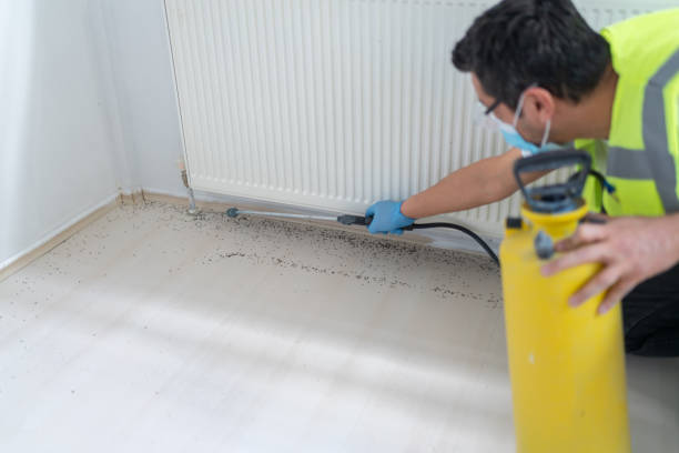 Best Best Pest Control Near Me  in New Roads, LA